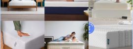 best mattress for back pain